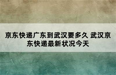 京东快递广东到武汉要多久 武汉京东快递最新状况今天